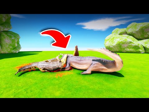 Machimosaurus Rex vs crocodile - Animal Revolt Battle Simulator