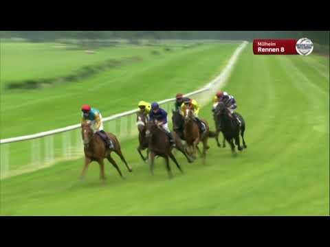 Grosser Preis der rp Gruppe - Gruppe 2