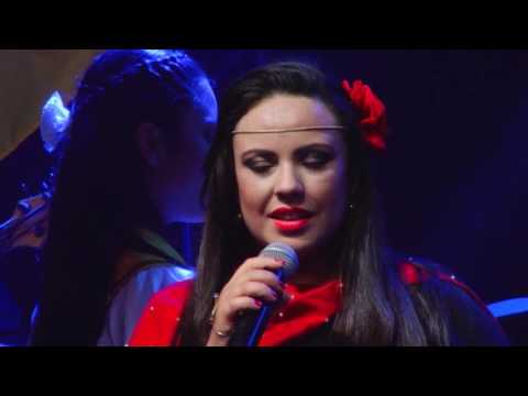 DVD Liane Tavares - Tributo à Mulher Gaúcha