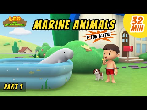 Marine Animals (Part 1/2) - Dugong and more sea animal stories!