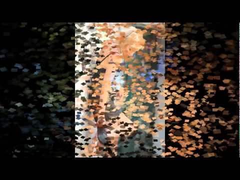 Ksenija Kochetova - NOVI DAN