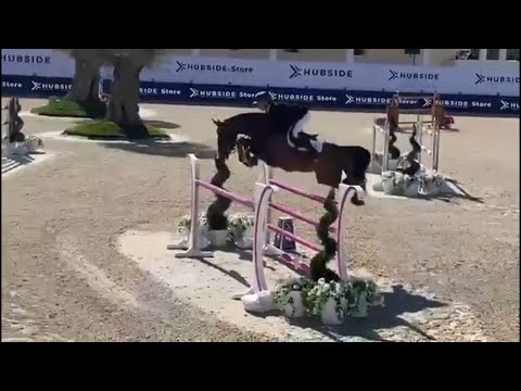 Uriko-Nachkommen | Uniquo unter Jerome Guery