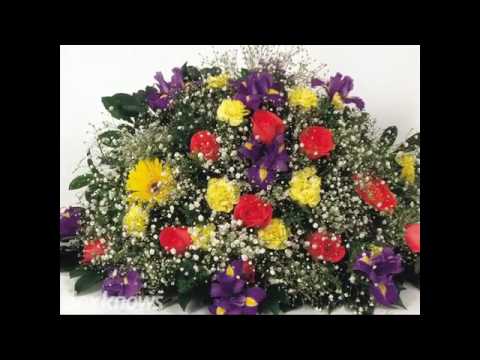 download lagu mp3 mp4 Nelson Berger, download lagu Nelson Berger gratis, unduh video klip Nelson Berger