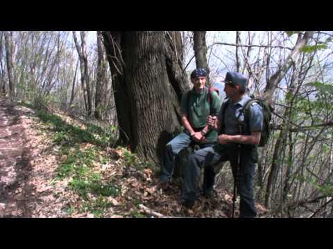 Anello del monte Faeit - SentieriNatura 2010 - 20