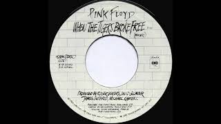 Pink Floyd - When The Tigers Broke Free 45