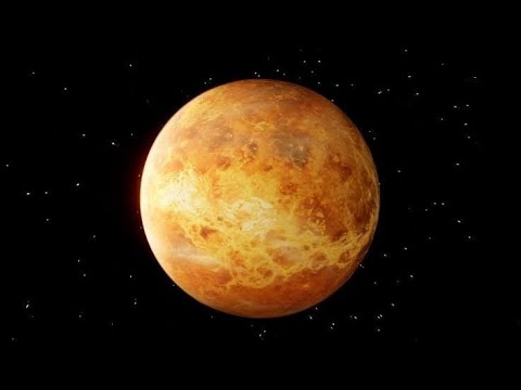 What If Venus Was Habitable?