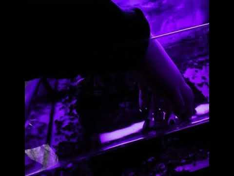 deadwriter x DEADKID - KAMISHIRO