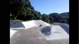 SURF SKATE IB PARK 2 omnibus サーフスケート 波乗り陸練 &amp; ﾛｰｶﾙ達