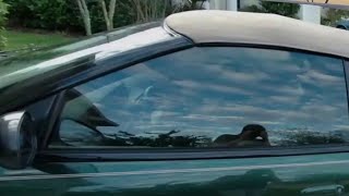 What exactly are the car window tint laws in Florida
