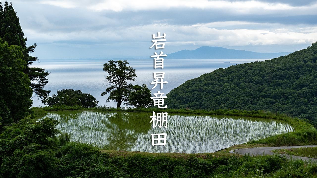 Iwakubi Shoryu Rice Terraces
