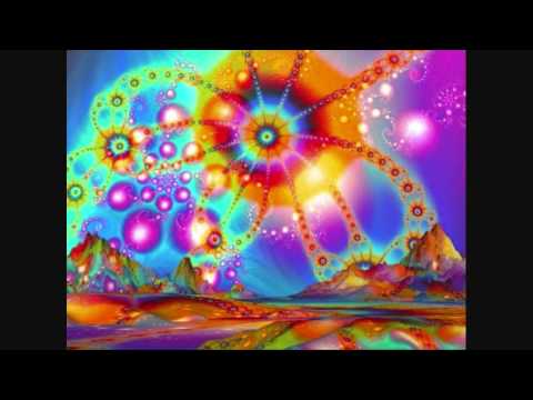 Bombax - Hollywoodkids