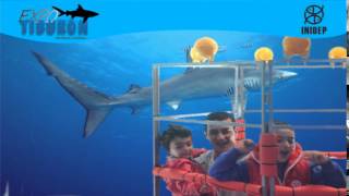 DIA 3 Expo Tiburon33