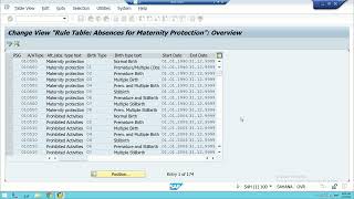 22  SAP HCM Configuration for Special Special Leave