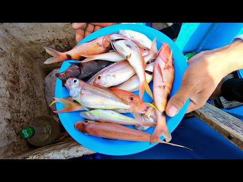 vlog228-Assorted Fish | Handline fishing Part 2