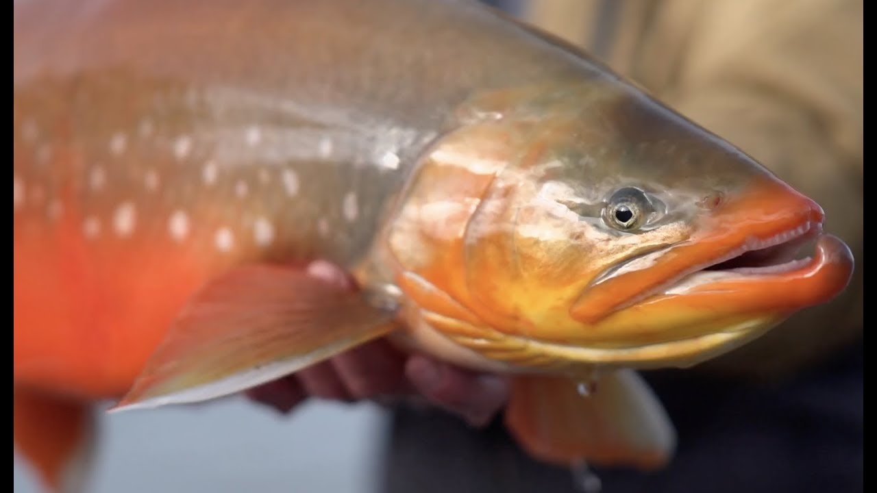 Seriously North by InTents Media