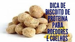 Vídeo de Biscoito de Proteína Vegetal sabor Banana para Roedores e Coelhos - Little Dreams