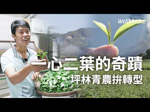 守護坪林茶鄉 第三代青農拚轉型！全台最難做的茶？製茶秘辛大公開【Well Talk】