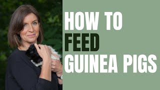 How To Feed Guinea Pigs: Guinea Pigs Make The World A Better PlaceWith Molly, Meg & Dillon