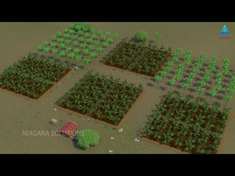 Plastic drip irrigation gate valve