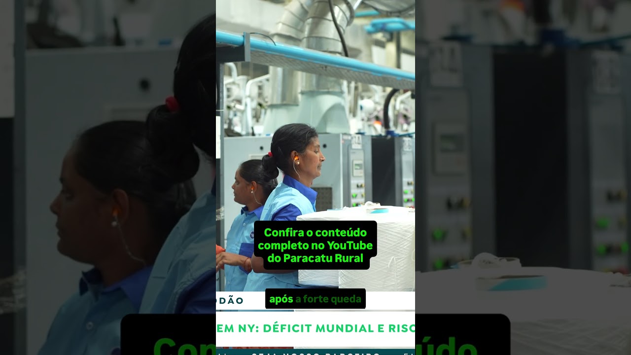 Algodão Dispara em NY: Seca Reduz Safras no Mundo e Embarques do Brasil Aceleram