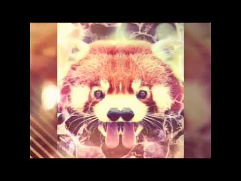 VZSC / THE HUM - DIMITRI VEGAS & LIKE MIKE VS UMMET OZCAN / REMIX / ENJOY \