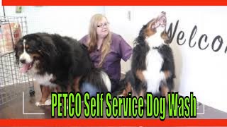 🐶🐶  PETCO Self Service Dog Wash  | PET Supplies Plus dog wash   🐶🐶🐱‍🏍🐱‍🏍