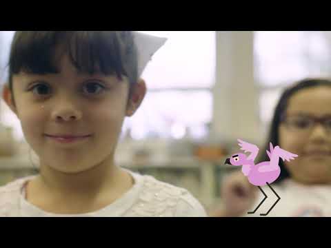 José-Luis Orozco - "Domingo Flamingo" [Official Music Video]