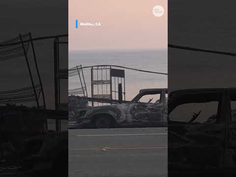 Watch as winds fuel devastating Los Angeles wildfires growth