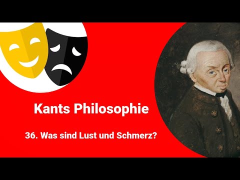 Kants Philosophie - Was sind Lust und Schmerz?