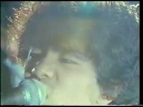 Pelican Road Club Culture ENDLESS MY LOVE THE BUDOKAN