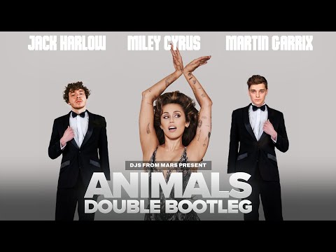 Martin Garrix Vs Miley Cyrus Vs Jack Harlow - Doctor Lovin' Animals (Djs From Mars Double Bootleg)