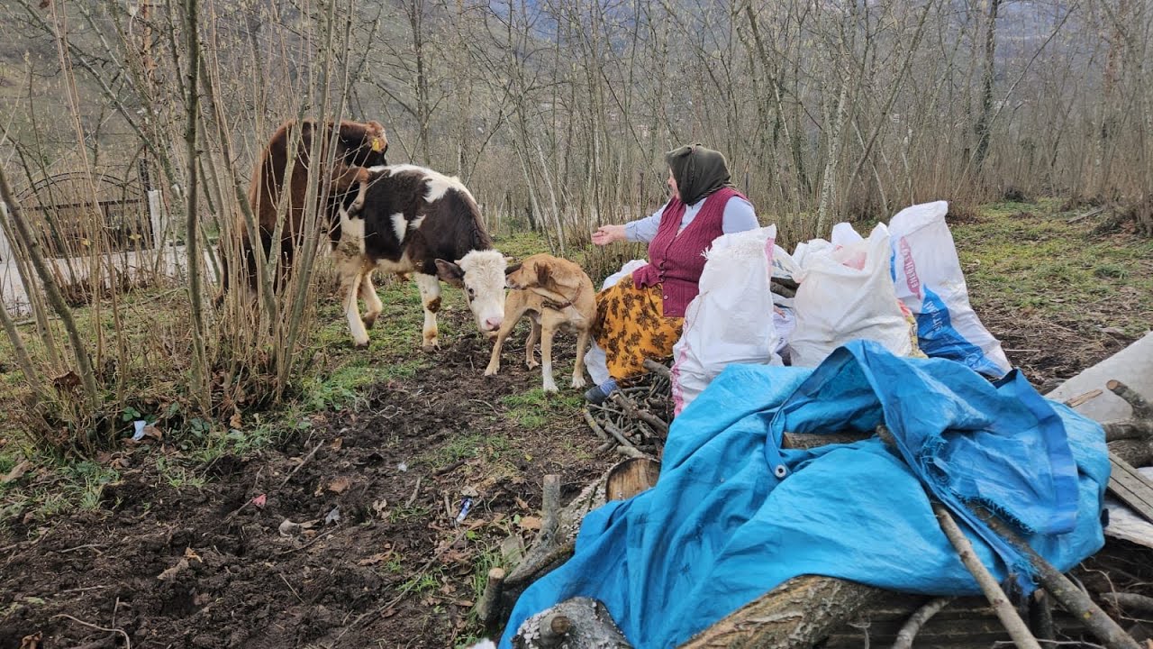 ‼️SABRİ UCUZ KURTULDU ‼️