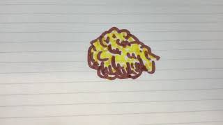 から揚げって絵にしにくい？ から揚げテイクアウト 山口県周南市 長州どり