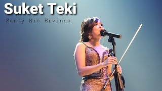 Download lagu Suket Teki (Didi Kempot) - Sandy Ria Ervinna mp3 Download lagu Suket Teki (Didi Kempot) - Sandy Ria Ervinna mp3