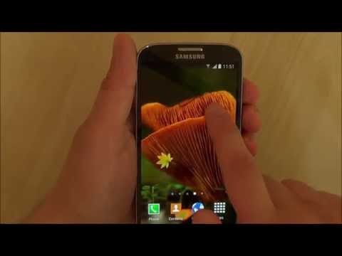 Mushrooms Live Wallpaper Video