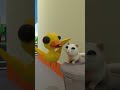 POV You See A Random Cat On The Street Shorts Babyduck Cat