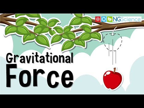 Gravitational Force