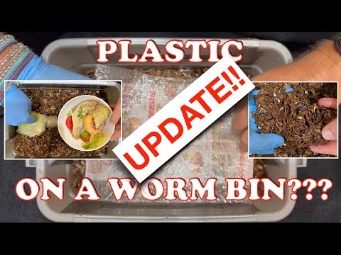 How Well Does Plastic Retain Moisture In A Worm Bin? Update!! | Vermicompost Worm Farm