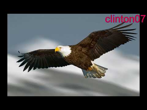 SongoN Lali (DEWI GUNA & FRANKY SIHOMBING)