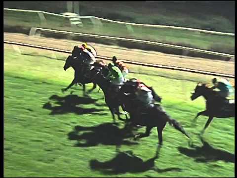 Galoppo 09/12/2015 - 6° corsa