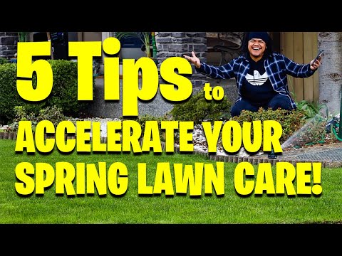 5 Tips to accelerate your SPRING Lawn Care!