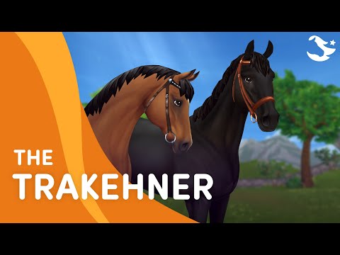 , title : 'Meet the Trakehner 🐎😍 | Star Stable Breeds'