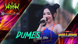 Download lagu DUMES - Lala Widy - New Pallapa Live Wotan - Ramayana Profesional Audio mp3