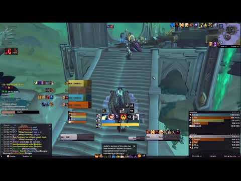 Necrotic Wake +20 Fortified - Discipline Priest POV