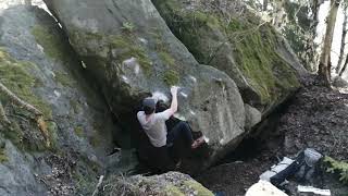 Video thumbnail of Mikrosvět, 7A. Modřín