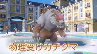 【ポケモンSV】物理受け暁ガチグマ