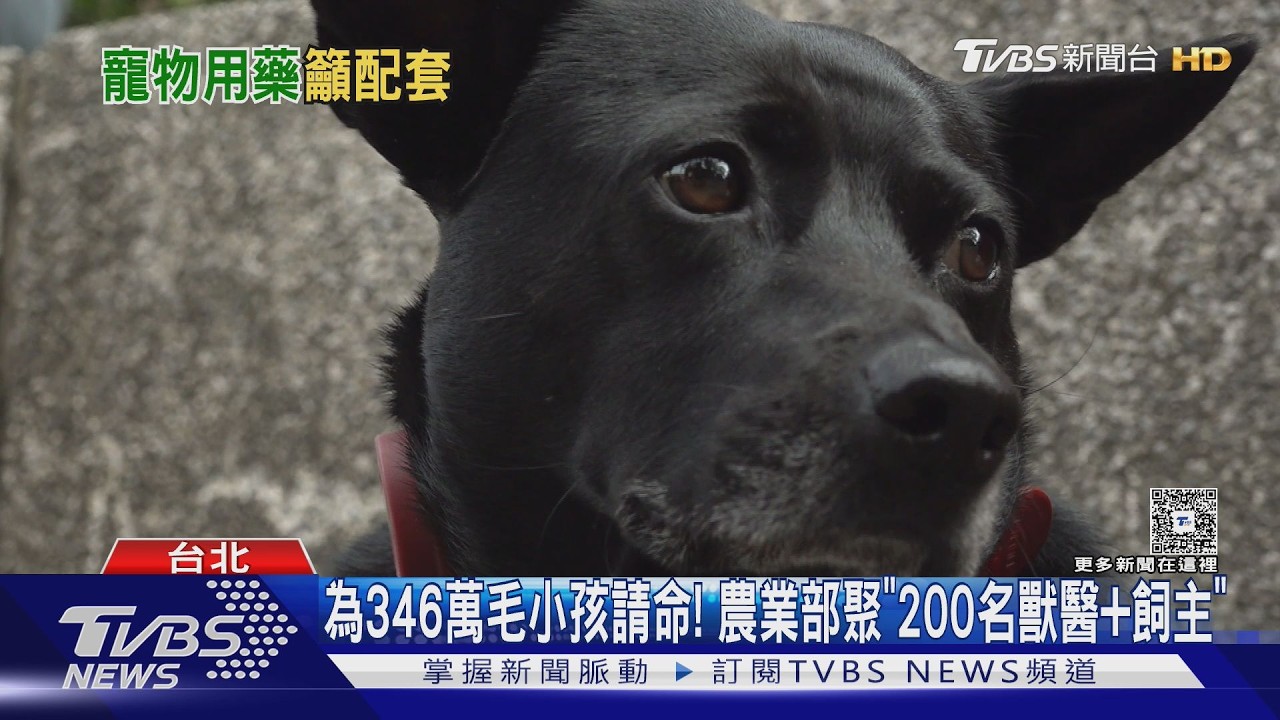 影音/寵物用藥新制「可能延後實施」 擬改公告制 雙軌購藥