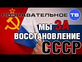 Мы за восстановление СССР (Познавательное ТВ, Антон Романов) 