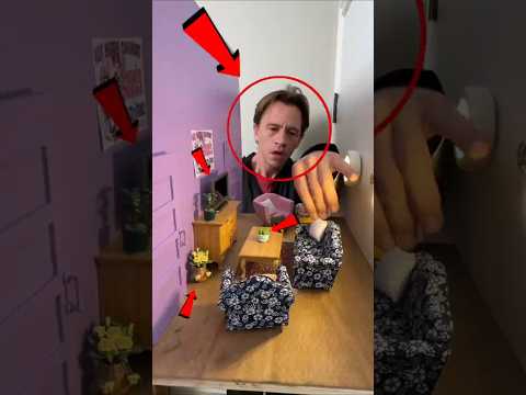 Transformó su puerta en un cuarto secreto… mira el final