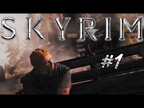 SKYRIM 🐲 # 1 - Was haben sie mit uns vor?😲 ◾ Let's Play + 📷Cam (German Deutsch)